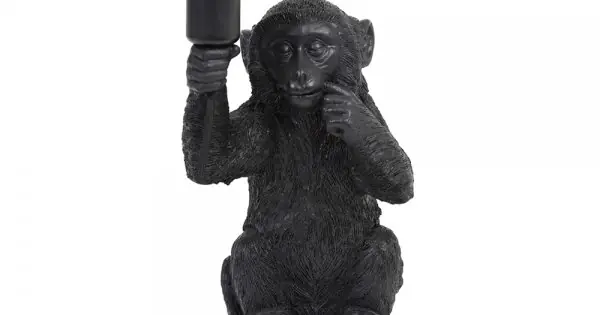 Vezi acum Veioză Birou MONKEY Negru